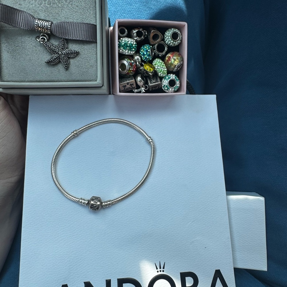 Pandora Silver Charm Bracelet with charms